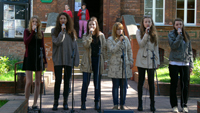 Klub Dobrej Piosenki, koncert Święto Chleba - Kwidzyn - 2013